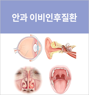 눈질환 이비인후질환