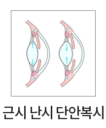 �ٽ� ���� �ܾȺ���