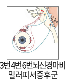 3�� 4�� 6�� ���Ű渶�� �з��Ǽ����ı�