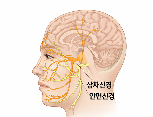 정의 이미지1