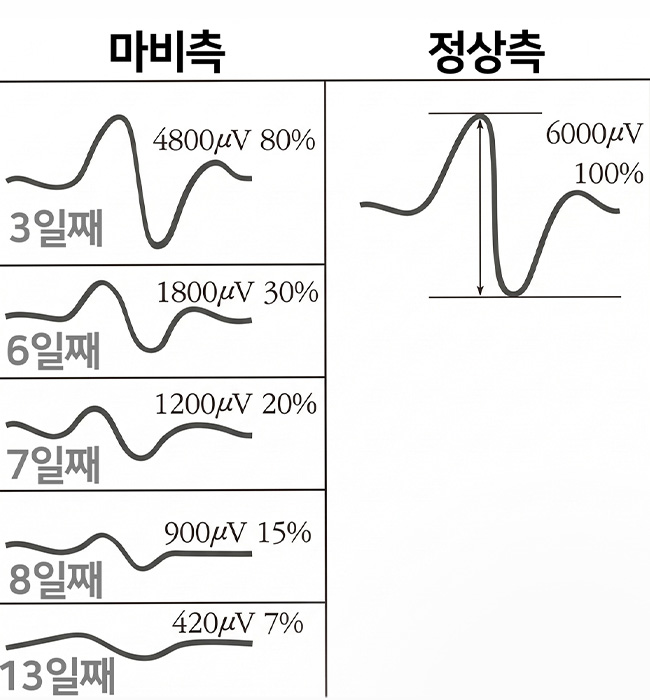 검사 이미지1