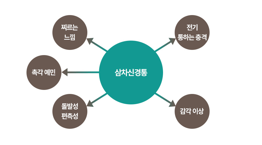 증상 이미지1