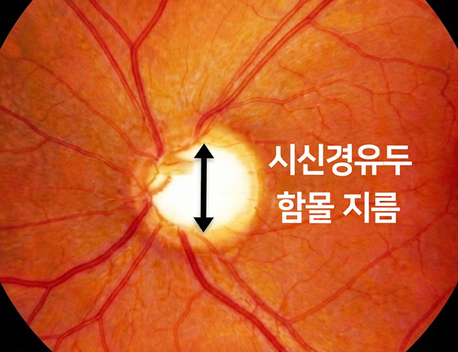 검사 이미지1