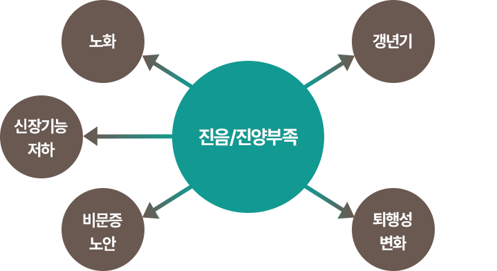 진음 인포