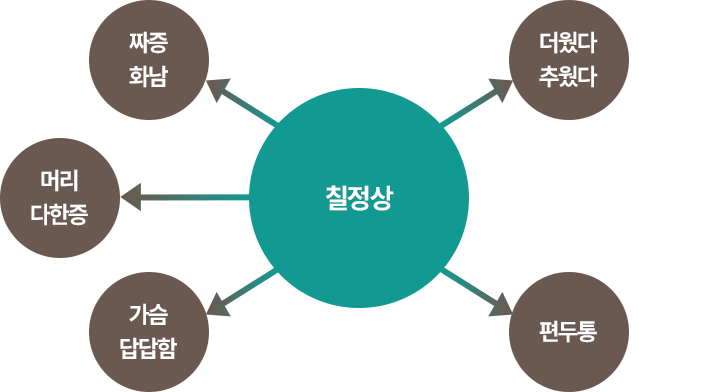 칠정상 인포