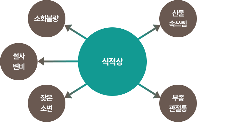 식적상 인포